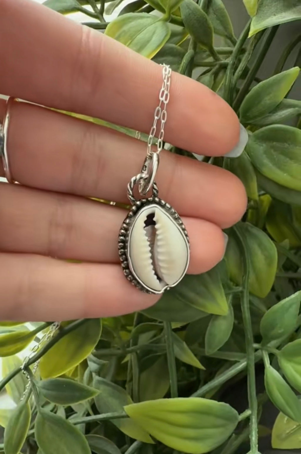 Drift Shell Charm Necklace!