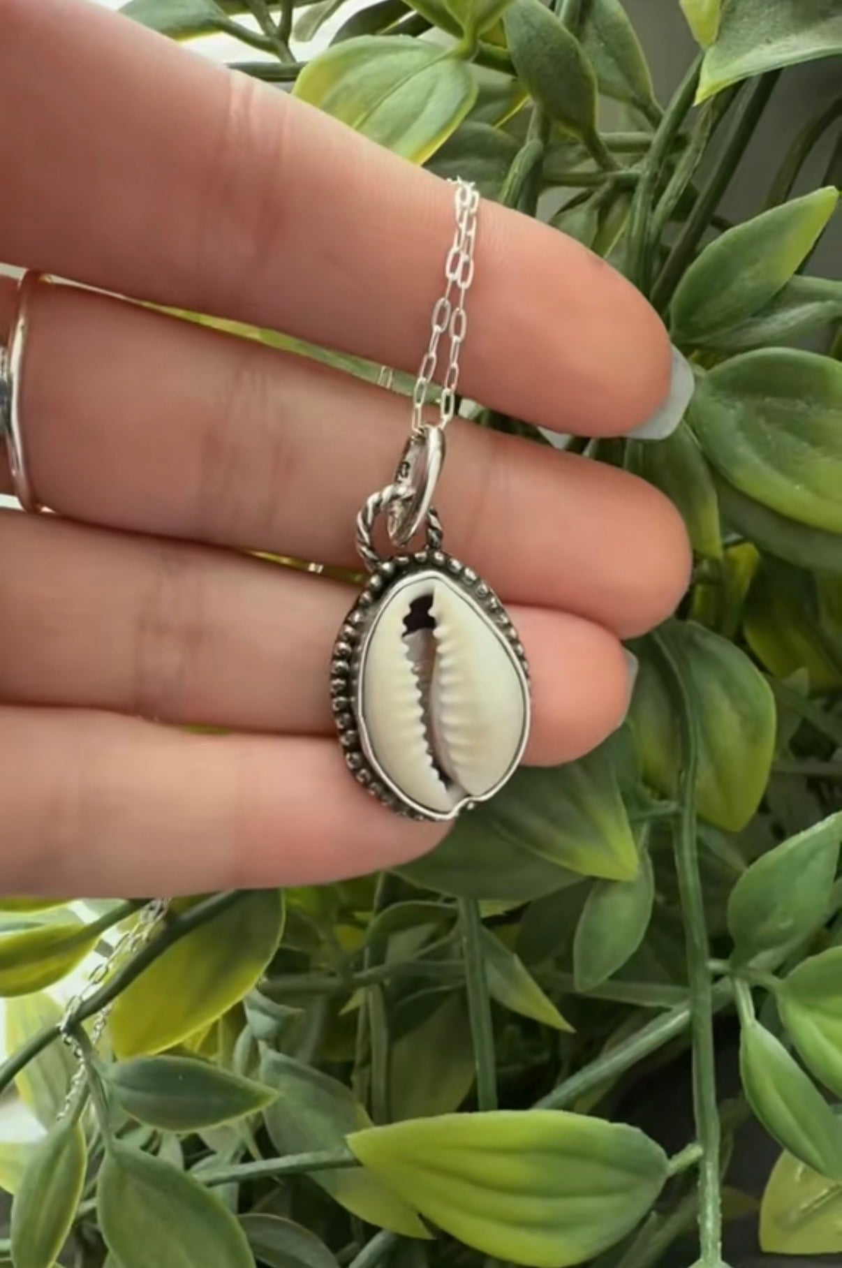 Drift Shell Charm Necklace!
