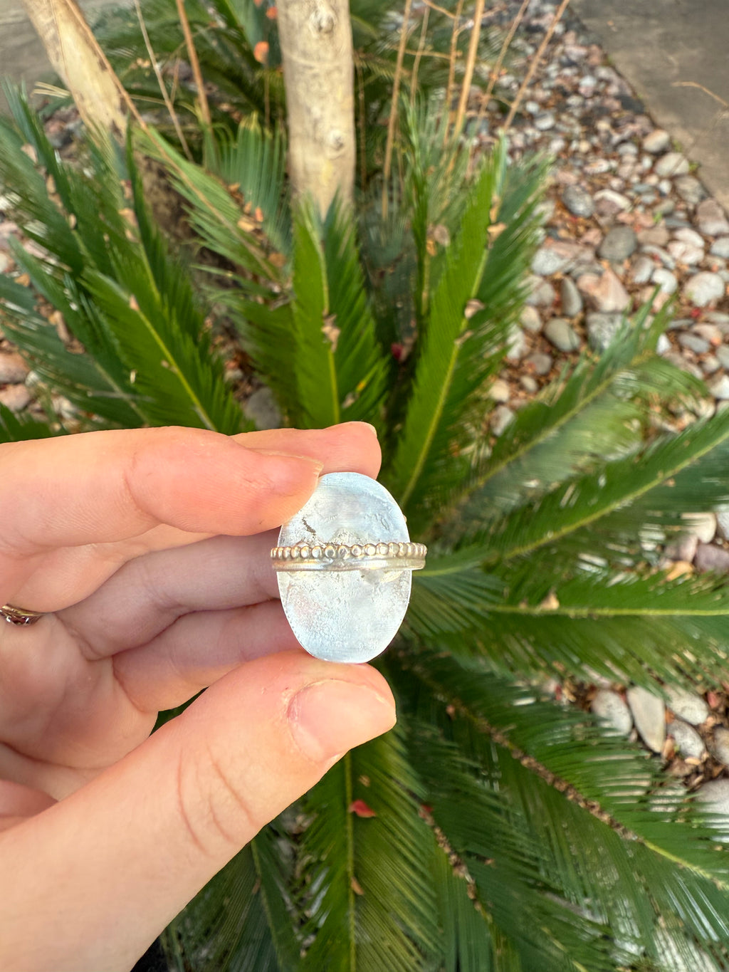 Turtle Shell Ring
