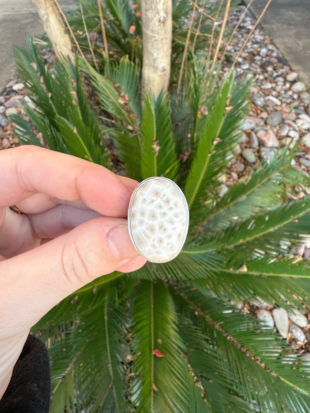 Turtle Shell Ring