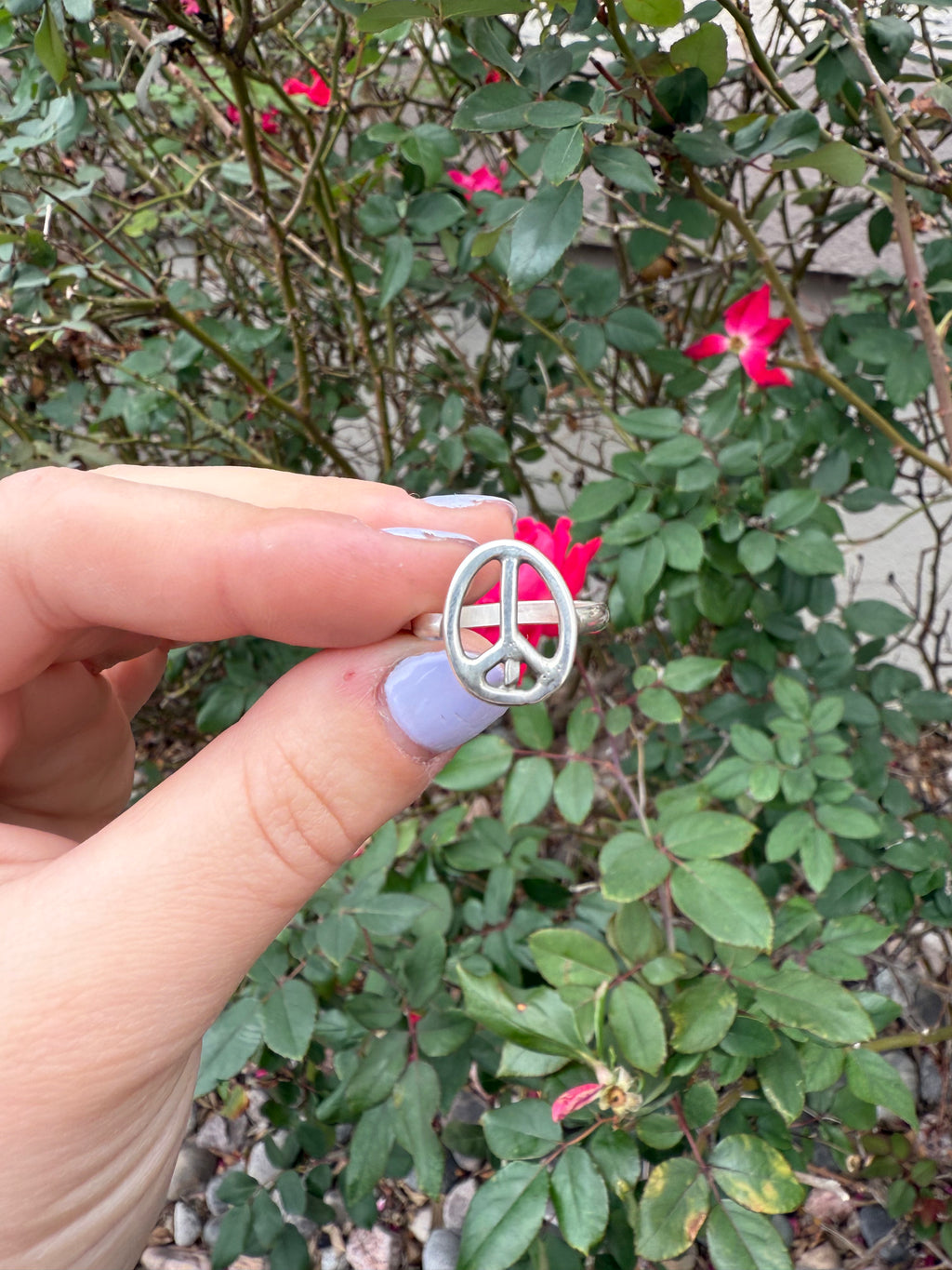 Peace and Love Ring